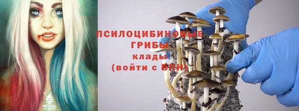 тгк Алзамай
