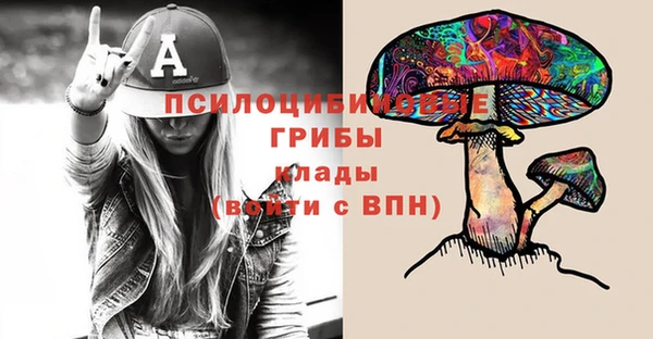 молекула духа Алексин