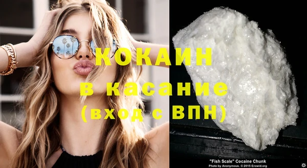 тгк Алзамай