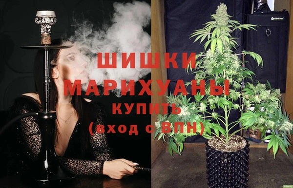 молекула духа Алексин