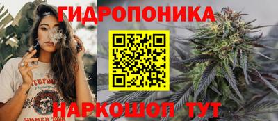 ALPHA PVP Сланцы